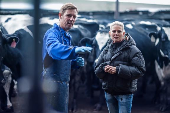 Farmer and colleague discussing cattle care on a farm, with cows in the background.