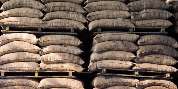 Pilhas de sacos de juta organizados sobre pallets de madeira em um armazém ou instalação de armazenamento de commodities.