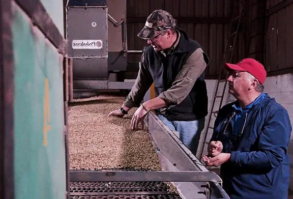 Two farmers inspecting grain during processing at an agricultural facility.