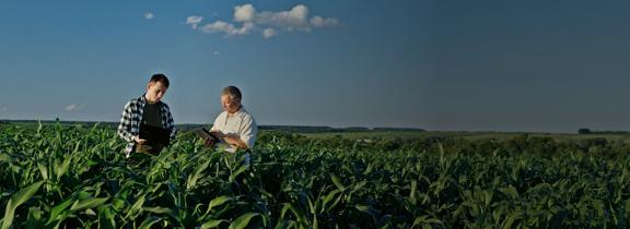Two farmers reviewing crop data on a tablet and notebook in a cornfield during the day.