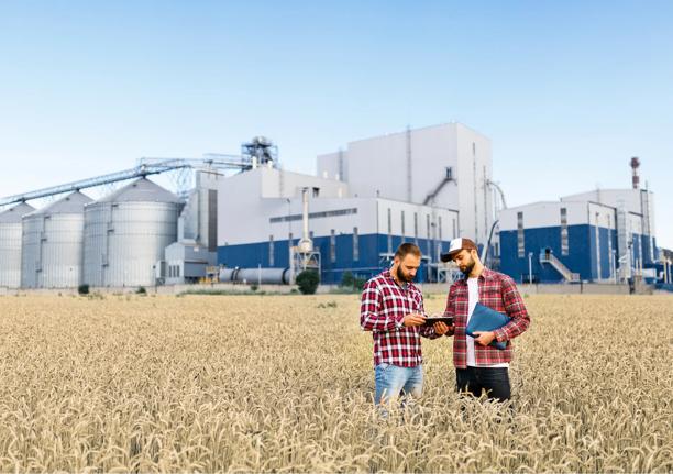 Two agricultural professionals standing in a wheat field using a tablet and clipboard, with a grain processing facility in the background