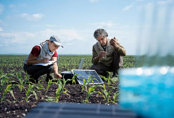 Two farmers reviewing crop health in the field	