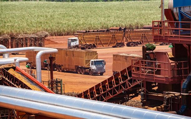 Caminhões transportando cana-de-açúcar em área industrial com solo avermelhado