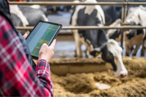 Área de alimentação de gado com gerenciamento de gado baseado em tablets.
