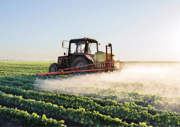 Tractor spraying crops with agricultural chemicals or fertilizer in a large green field at sunrise