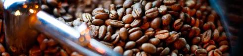 Grãos de café apresentados em um banner gráfico estilizado e com marca