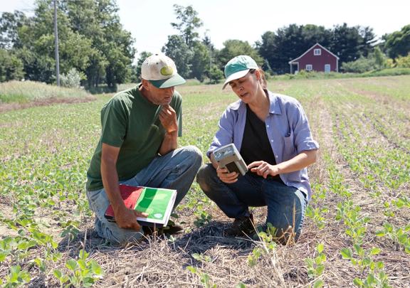Two agricultural professionals using digital tools and a tablet to assess crop growth in a young field