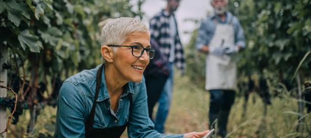 Smiling woman working in a vineyard with other workers harvesting grapes in the background