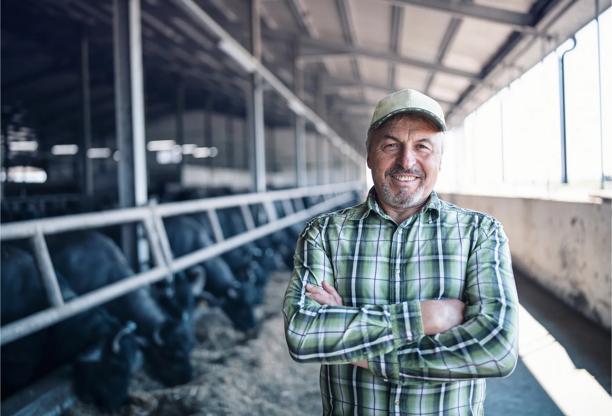 Confident livestock farmer standing with arms crossed in a cattle barn