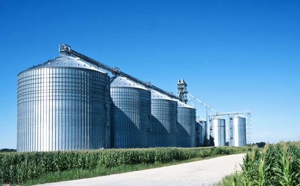 Large grain silos and storage facility surrounded by crops under a clear blue sky