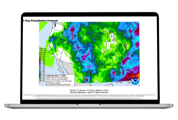 Laptop screen showing precipitation forecast in Cocoa Market Intelligence