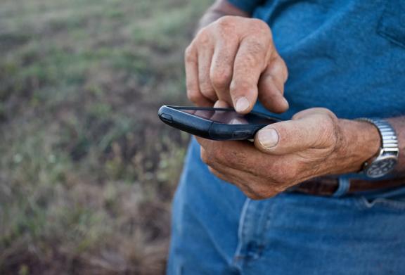 Close up of farmer's hands holding mobile phone