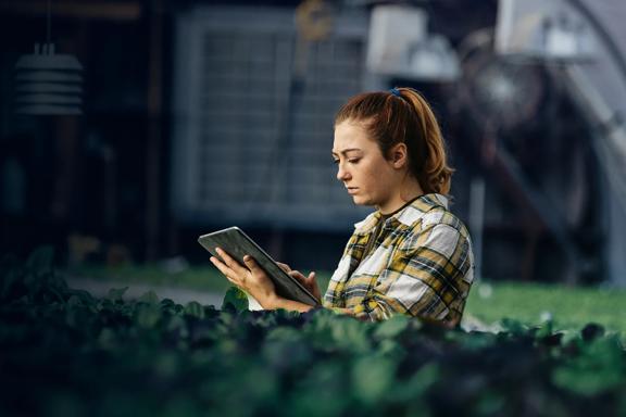 Woman accessing reports on agriculture global supply and demand.