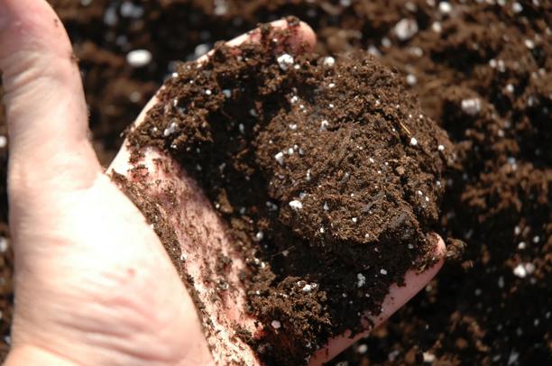 Mão segurando solo úmido e fértil, simbolizando produtividade agrícola e cuidado com a terra.