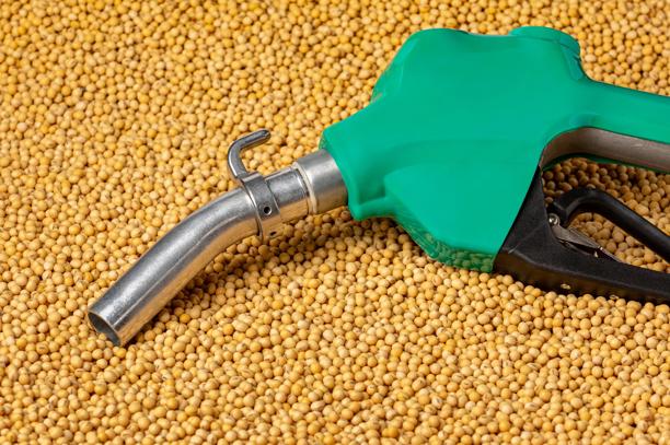 Bico de bomba de combustível verde sobre grãos de soja, representando a produção de biodiesel a partir da soja.
