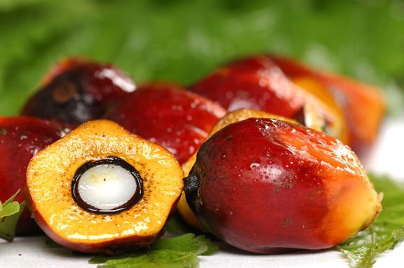 Frutos de dendê frescos, com um deles cortado ao meio, mostrando a polpa alaranjada usada na fabricação de óleo de palma.