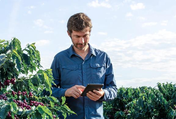 Coffee farmer analyzes crop data on a tablet, representing tech-driven insights in coffee trading and sourcing