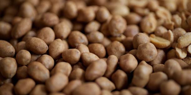 Soybean meal pellets used in animal feed