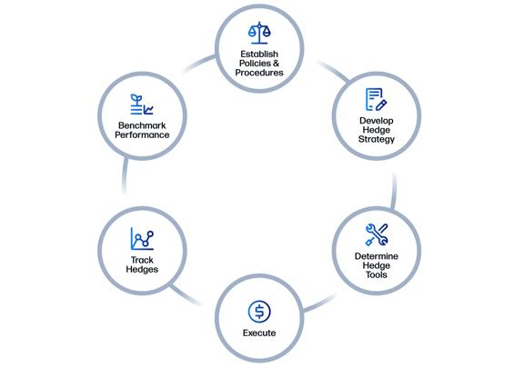 Circular diagram illustrating a hedging process cycle with six stages: Establish Policies and Procedures, Develop Hedge Strategy, Determine Hedge Tools, Execute, Track Hedges, Benchmark Performance