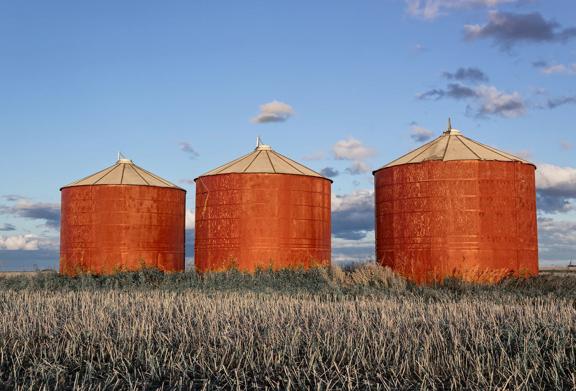 Field containing three grain silos