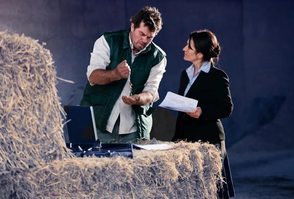 Analysts examining commodity data on tablets in a grain facility	